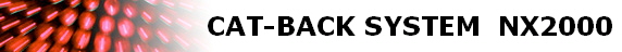 CAT-BACK SYSTEM  NX2000